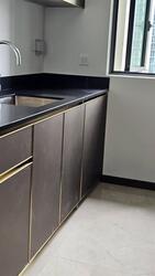 Normanton Park (D5), Apartment #488193941